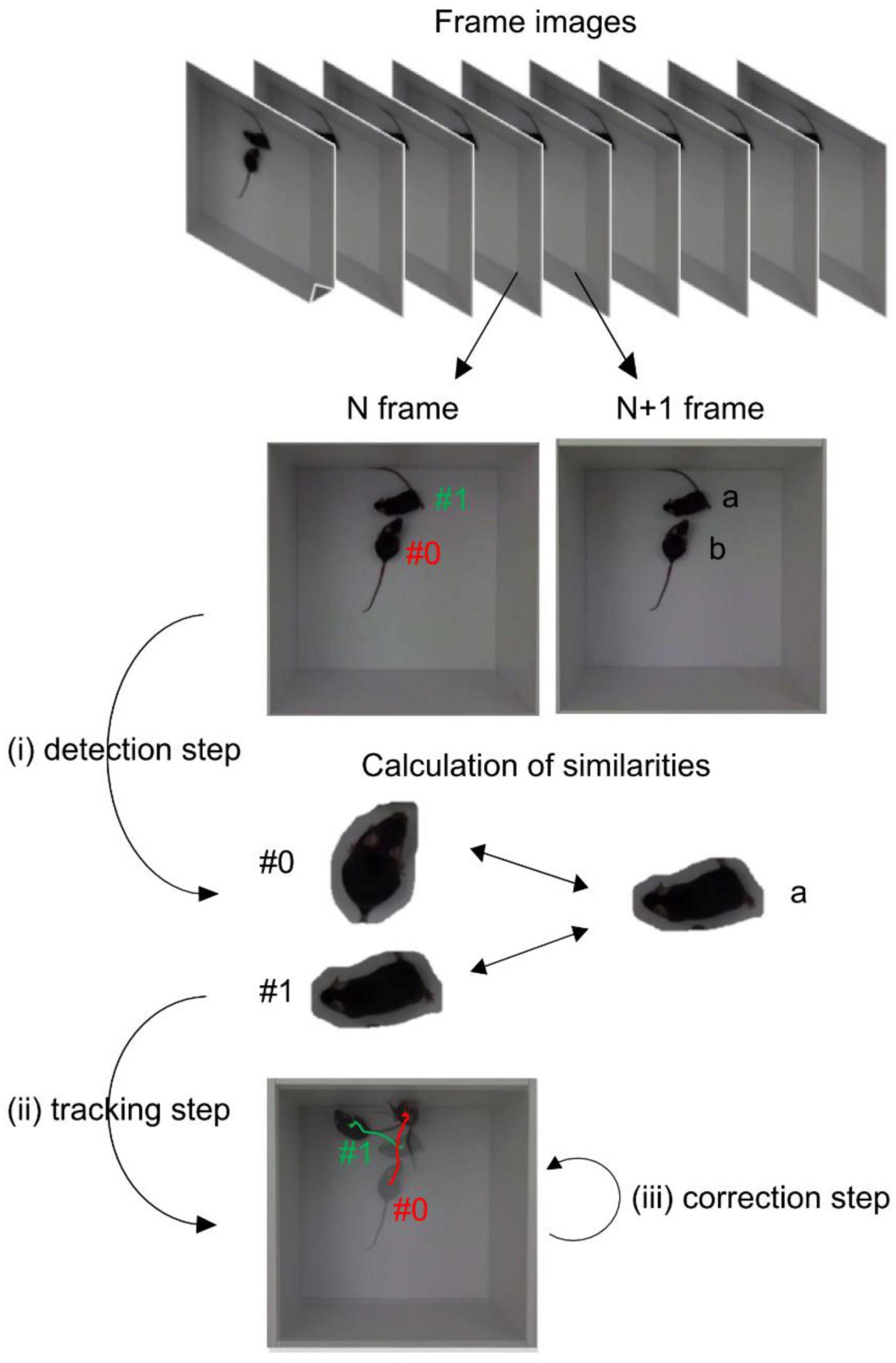 Marker-less tracking system for multiple mice using Mask R-CNN